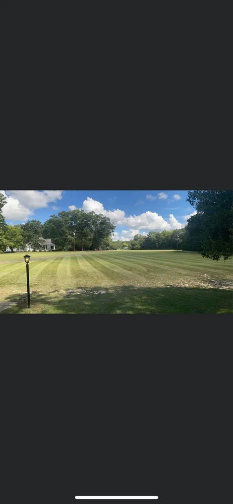 Top-rated landscape design experts serving Charleston, SC - Thompson’s Lawncare and Landscape