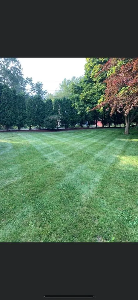 Reliable yard cleanup service in Charleston, SC by Thompson’s Lawncare and Landscape