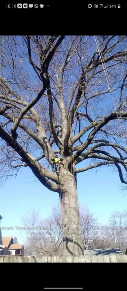 Top-rated landscape installation experts serving Saint Louis, MO - Thompson's Tree Care & Landscaping