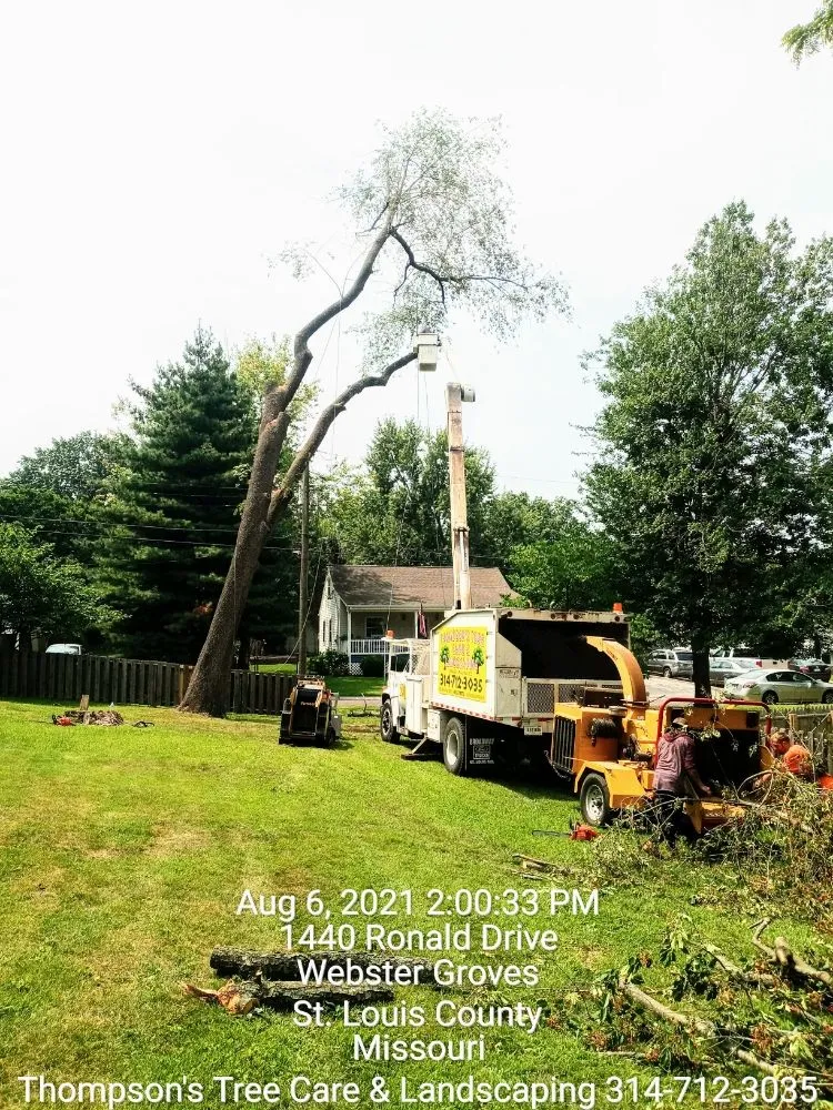 Affordable outdoor landscaping for beautiful yards across Saint Louis, MO - Thompson's Tree Care & Landscaping