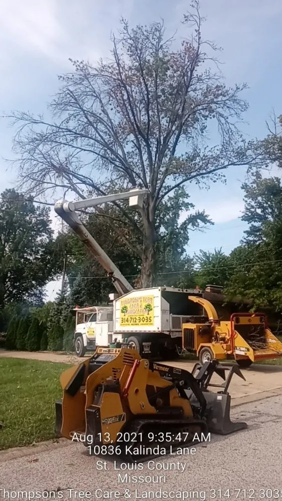 Reliable lawn care service in Saint Louis, MO - Thompson's Tree Care & Landscaping