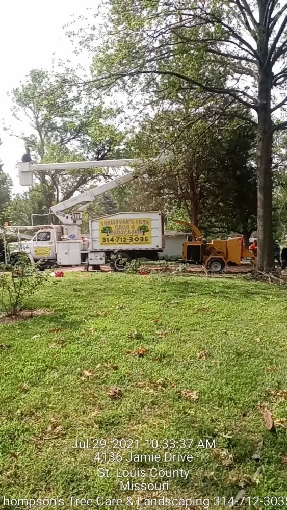 Top-rated residential landscaping in Saint Louis, MO by Thompson's Tree Care & Landscaping