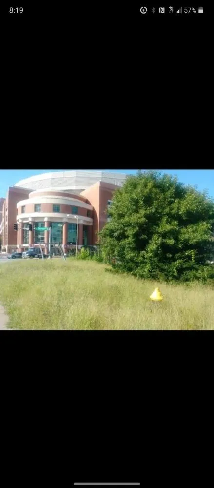 Local landscape installation for outdoor upgrades across Saint Louis, MO - Thompson's Tree Care & Landscaping