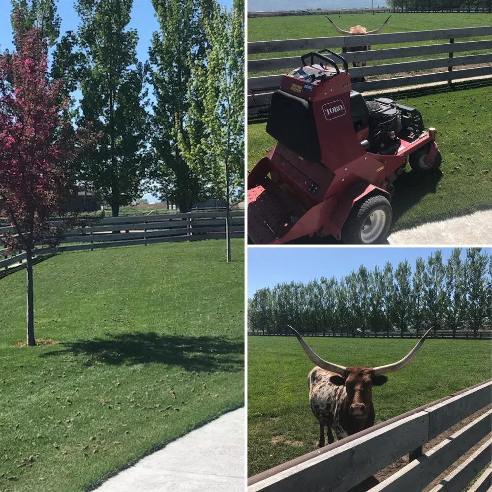 Affordable landscape installation in Smithfield, UT - Thom's Lawn Care