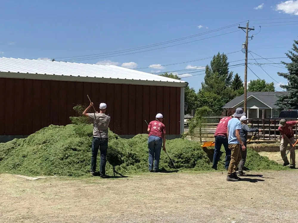 Top-rated residential landscaping experts serving Smithfield, UT - Thom's Lawn Care