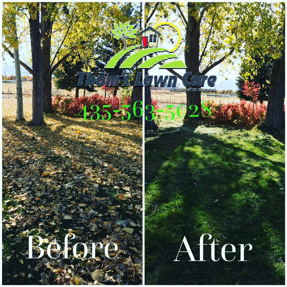 Trusted yard cleanup service for residential properties in Smithfield, UT by Thom's Lawn Care