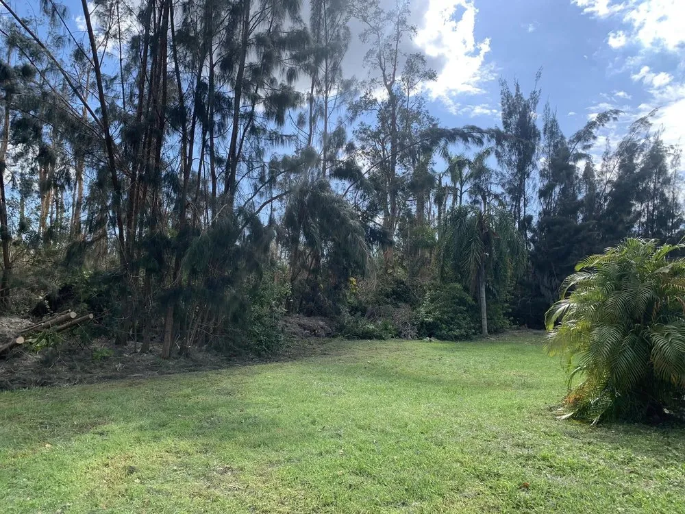 Professional yard maintenance with custom design in Bonita Springs, FL by Thomsen & Sons Landscaping