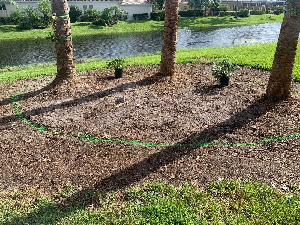 Reliable landscape design for beautiful yards across Bonita Springs, FL - Thomsen & Sons Landscaping