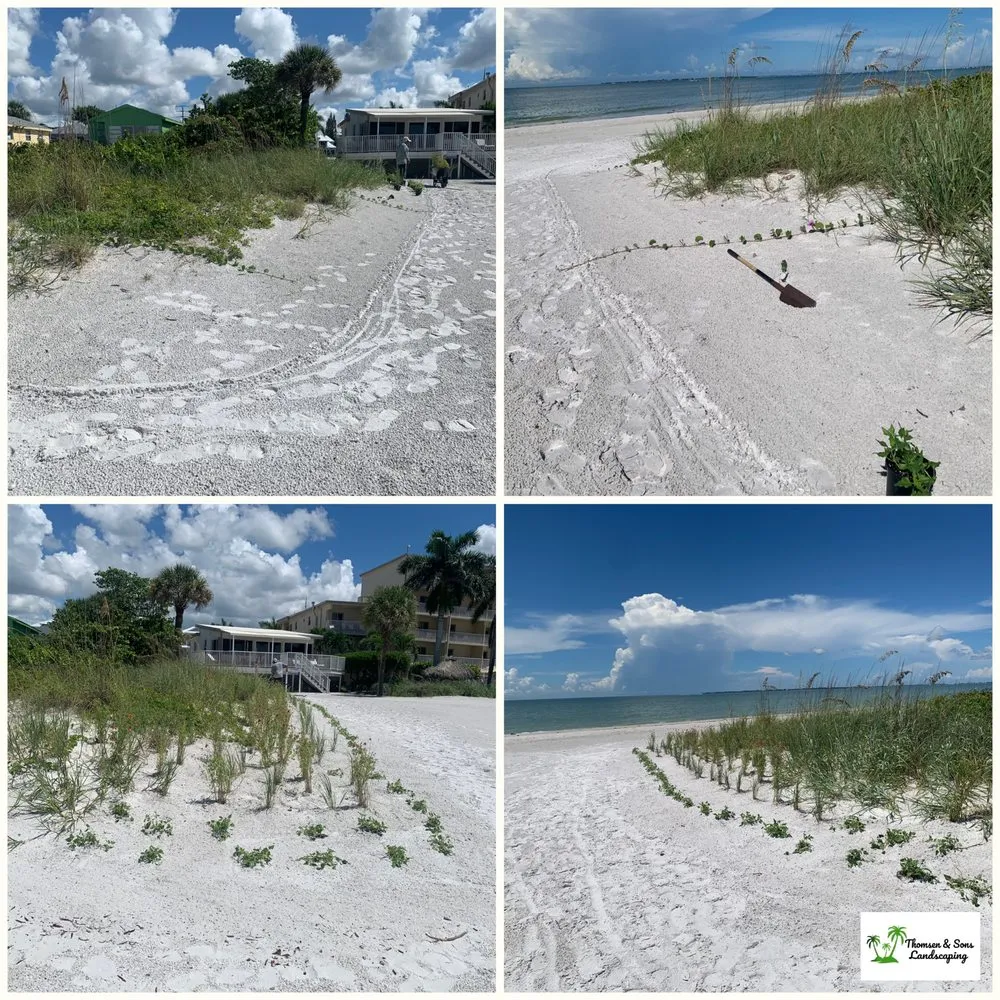 Custom landscape installation in Bonita Springs, FL by Thomsen & Sons Landscaping