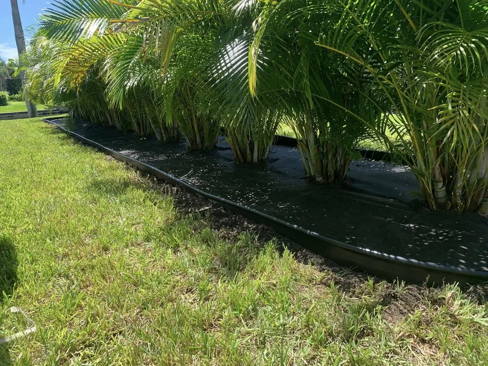 Top-rated outdoor landscaping for outdoor upgrades in Bonita Springs, FL by Thomsen & Sons Landscaping