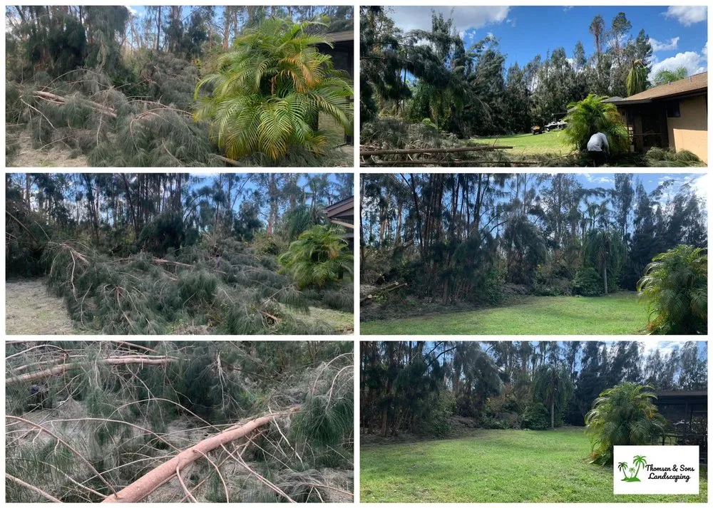 Professional yard maintenance in Bonita Springs, FL - Thomsen & Sons Landscaping