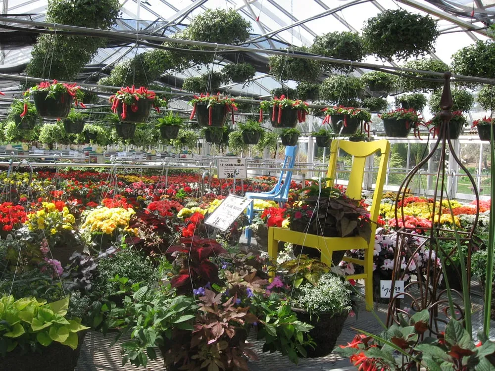 Custom yard maintenance near you across St. Joseph, MN - Thomsens Garden Center