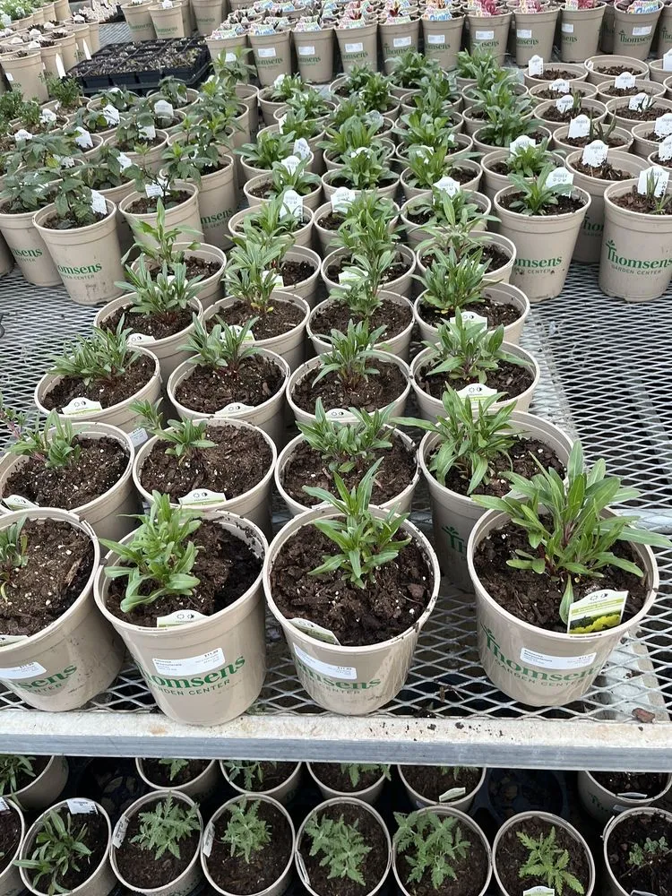 Reliable landscape installation for homes in St. Joseph, MN by Thomsens Garden Center