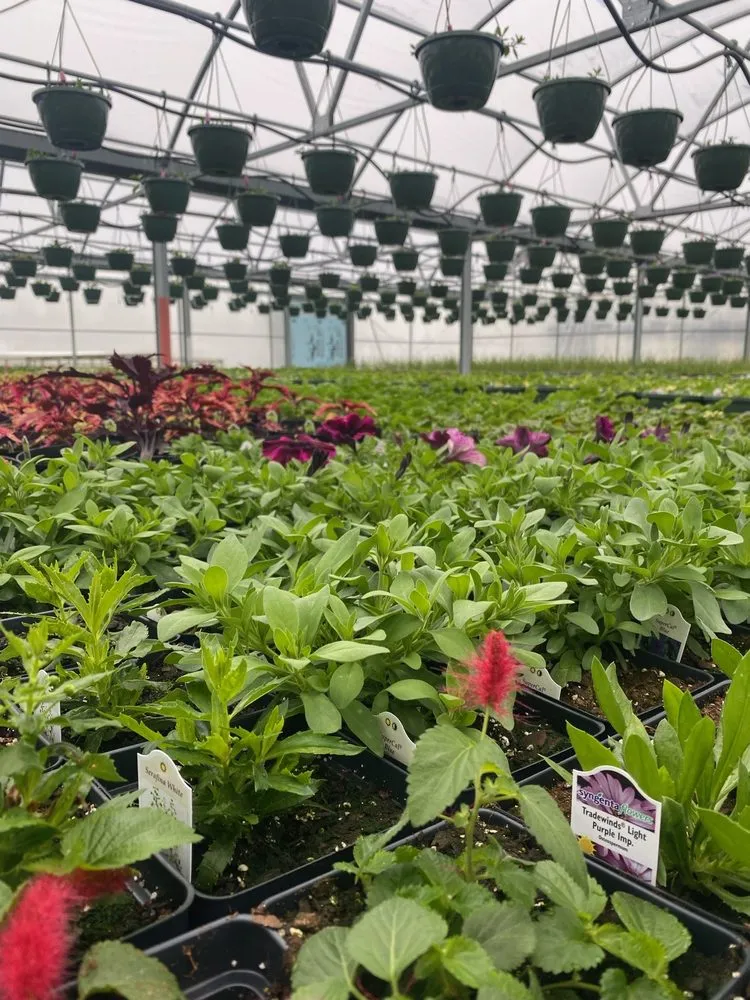 Reliable landscape installation for residential properties in St. Joseph, MN by Thomsens Garden Center