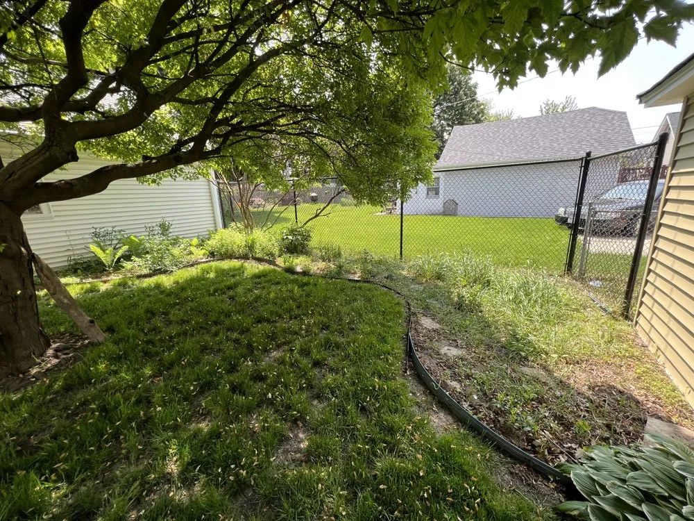 Custom yard cleanup service in Wauwatosa, WI - Thor Lawn Care