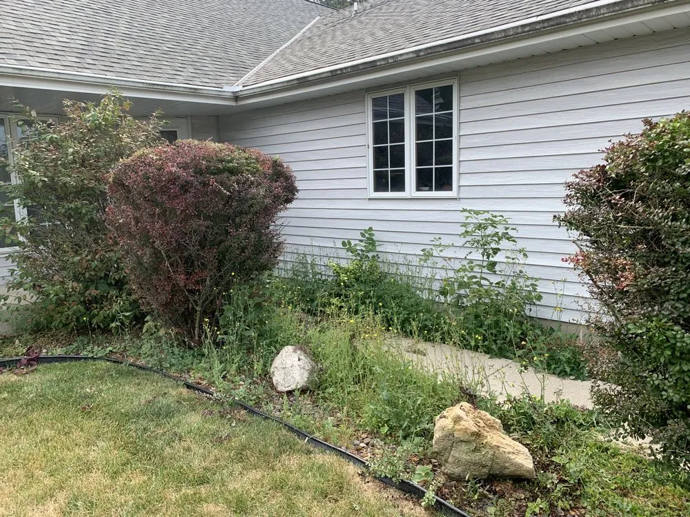 Local lawn care service for beautiful yards across Wauwatosa, WI - Thor Lawn Care