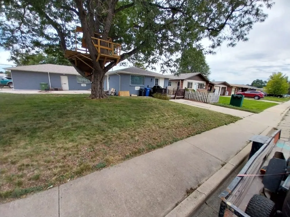 Professional lawn care service experts serving Fort Collins, CO - Thorell's Lawn Service