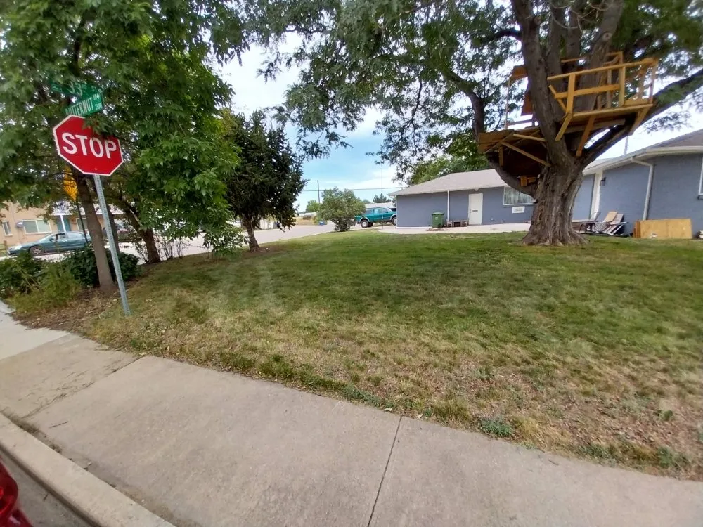 Reliable yard cleanup service for year-round maintenance in Fort Collins, CO by Thorell's Lawn Service