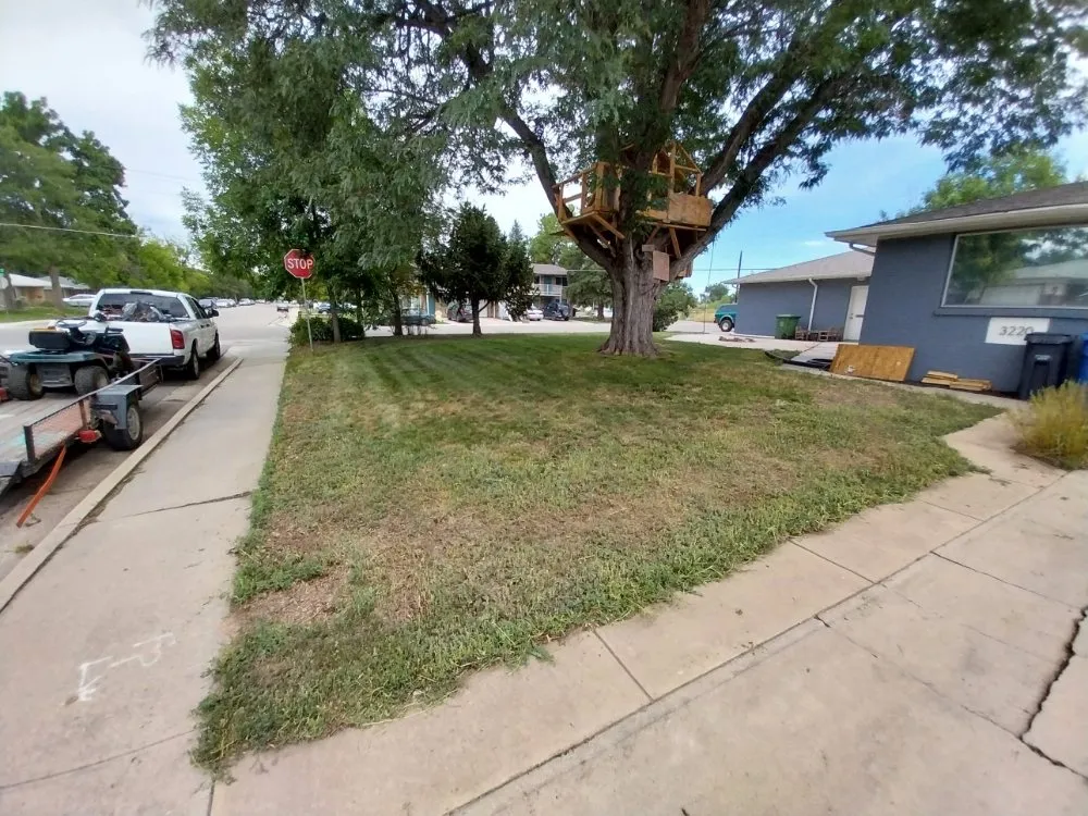 Custom yard maintenance experts serving Fort Collins, CO - Thorell's Lawn Service