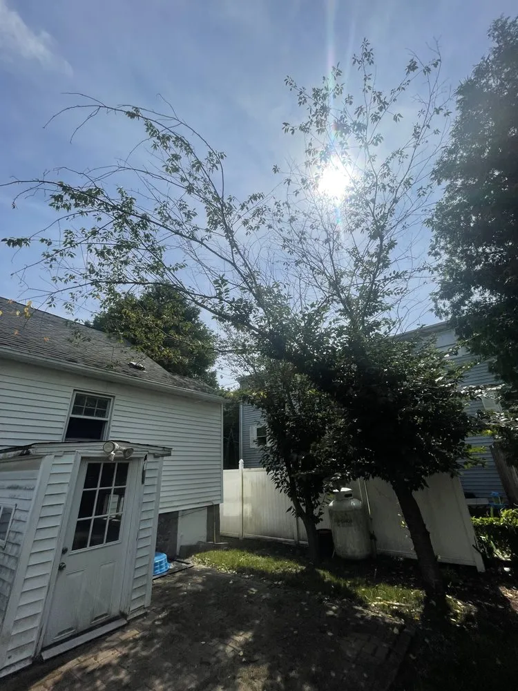 Affordable residential landscaping in Shrewsbury, MA by Thoren Lawn & Tree