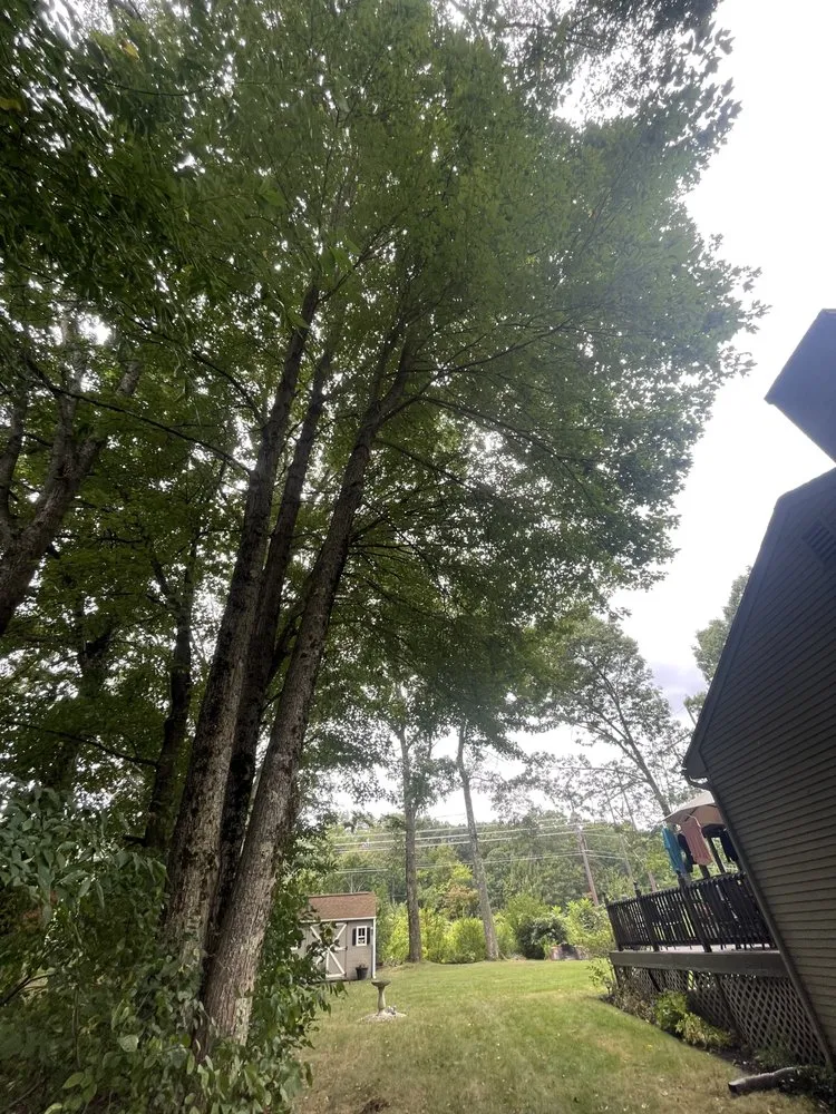 Affordable landscape installation experts serving Shrewsbury, MA - Thoren Lawn & Tree