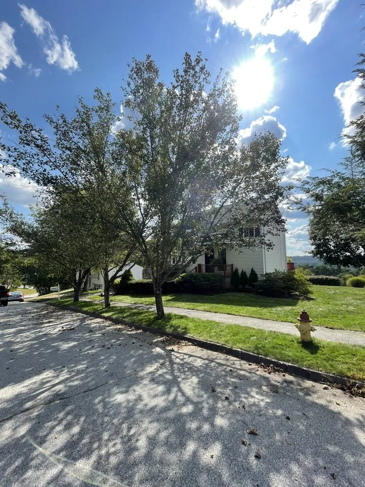 Trusted lawn mowing service in Shrewsbury, MA by Thoren Lawn & Tree