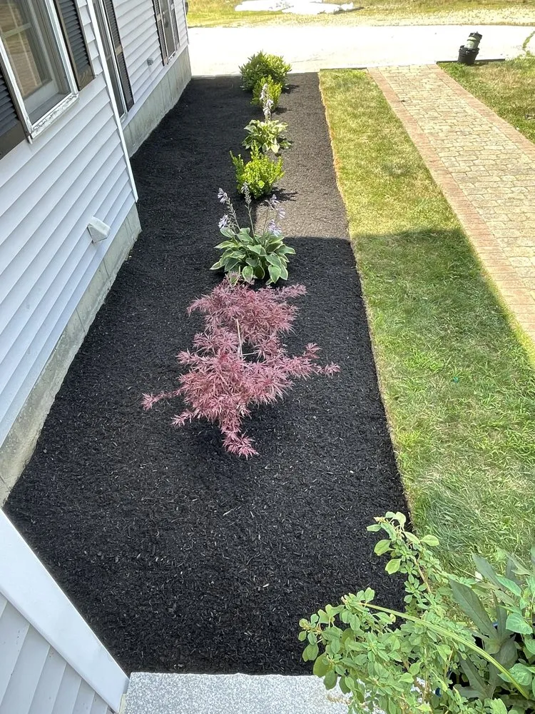 Affordable yard cleanup service in Shrewsbury, MA - Thoren Lawn & Tree