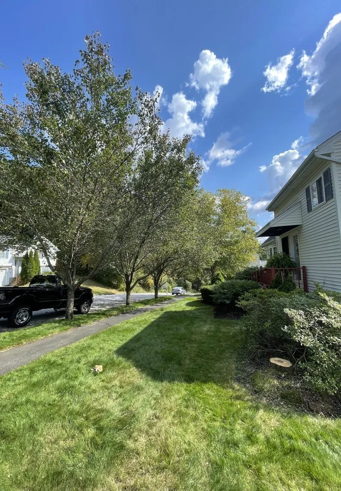 Top-rated residential landscaping with custom design across Shrewsbury, MA - Thoren Lawn & Tree