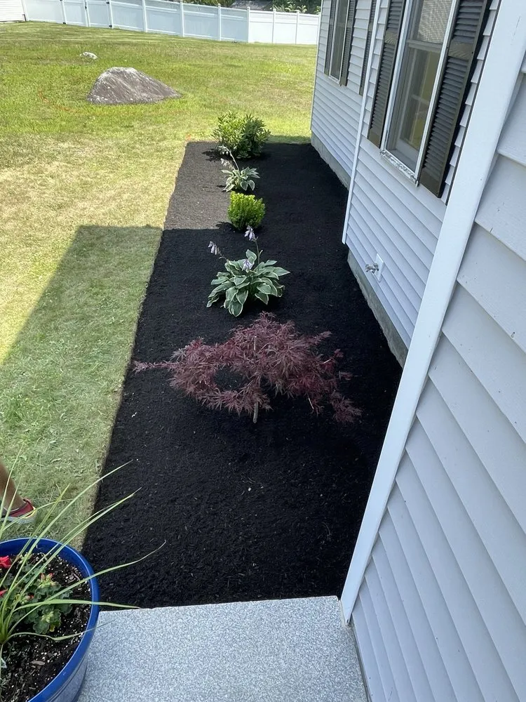 Top-rated yard cleanup service for outdoor upgrades in Shrewsbury, MA by Thoren Lawn & Tree