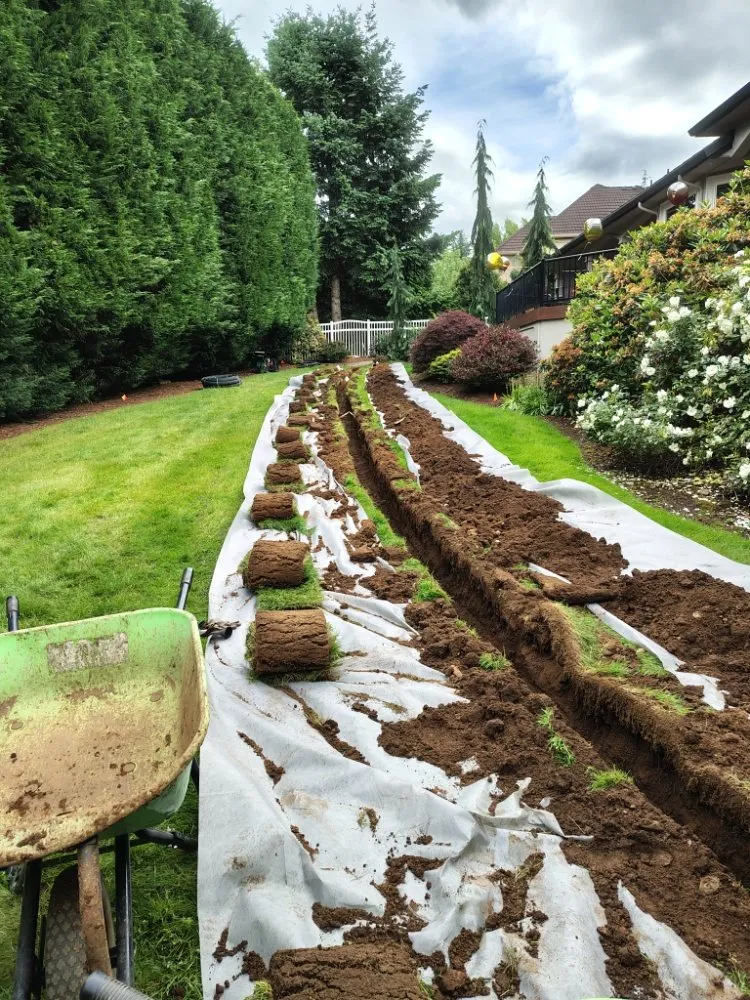 Professional landscaping services in Vancouver, WA - Thorn and Rose Landscaping