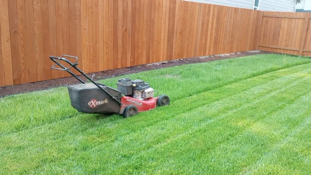 Expert yard maintenance for residential properties in Vancouver, WA by Thorn and Rose Landscaping