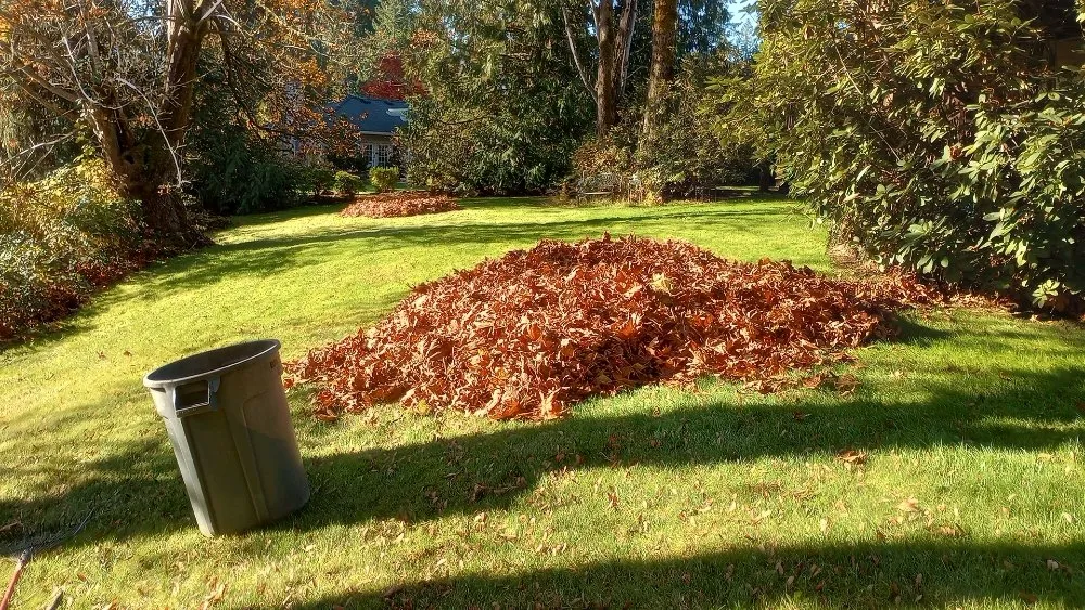 Top-rated yard maintenance for beautiful yards across Vancouver, WA - Thorn and Rose Landscaping