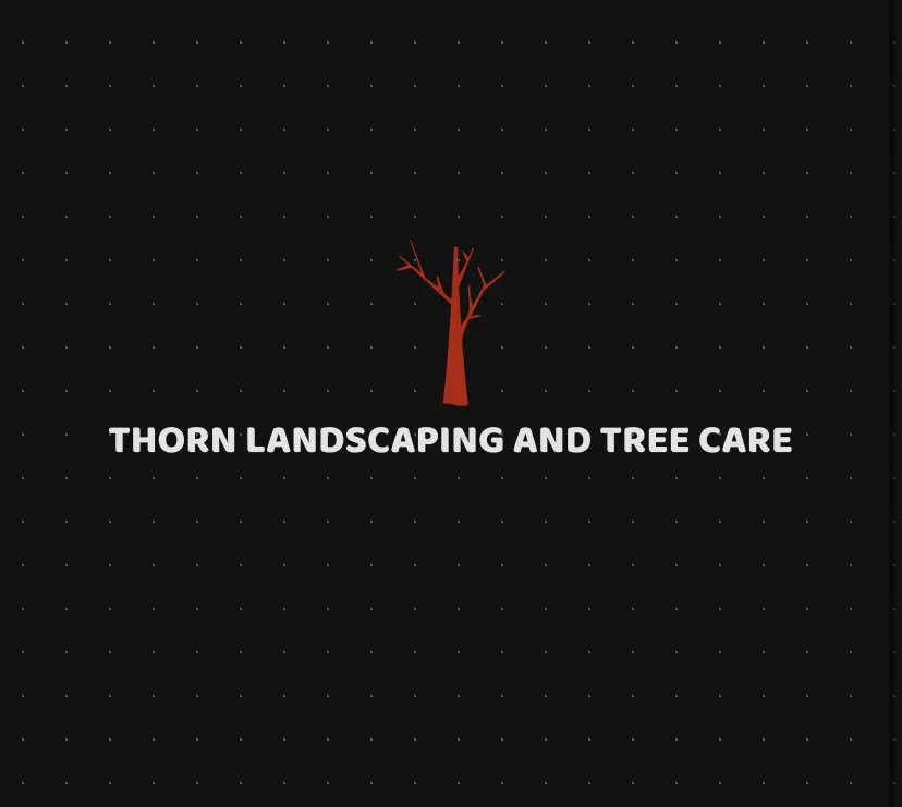 Expert yard maintenance in Hickory, NC by Thorn landscaping and tree care