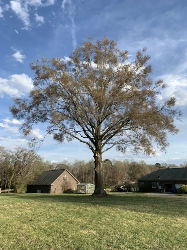 Reliable garden landscaping in Hickory, NC by Thorn landscaping and tree care