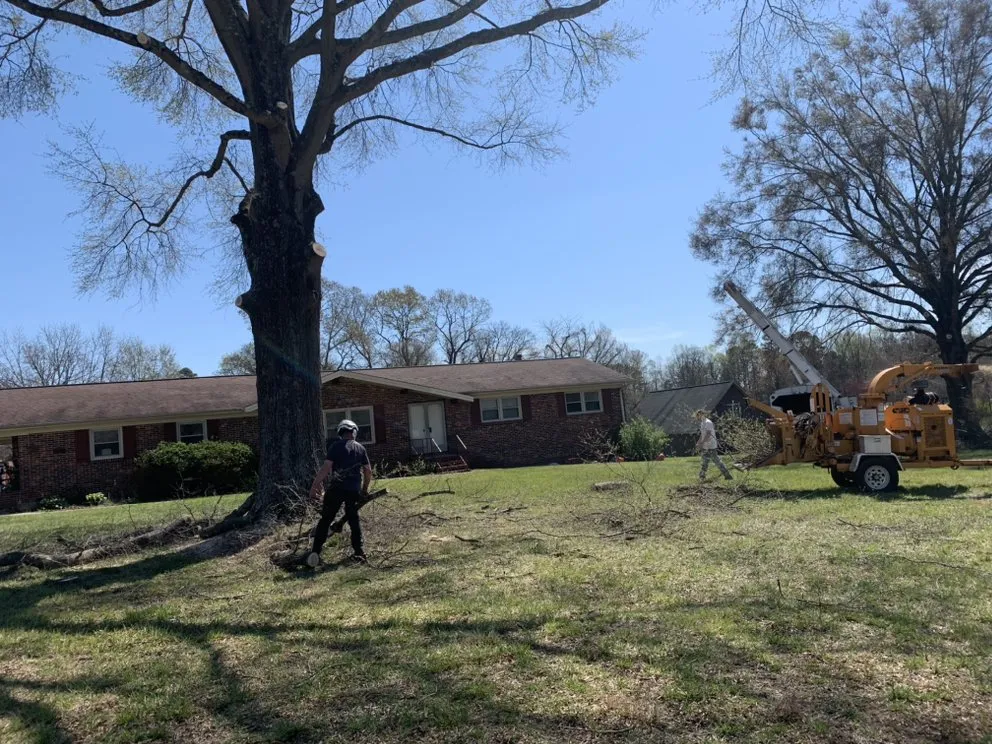 Professional residential landscaping in Hickory, NC - Thorn landscaping and tree care