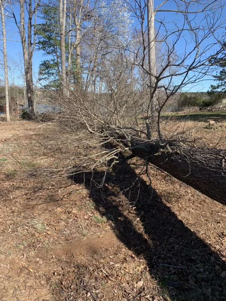 Top-rated residential landscaping in Hickory, NC by Thorn landscaping and tree care