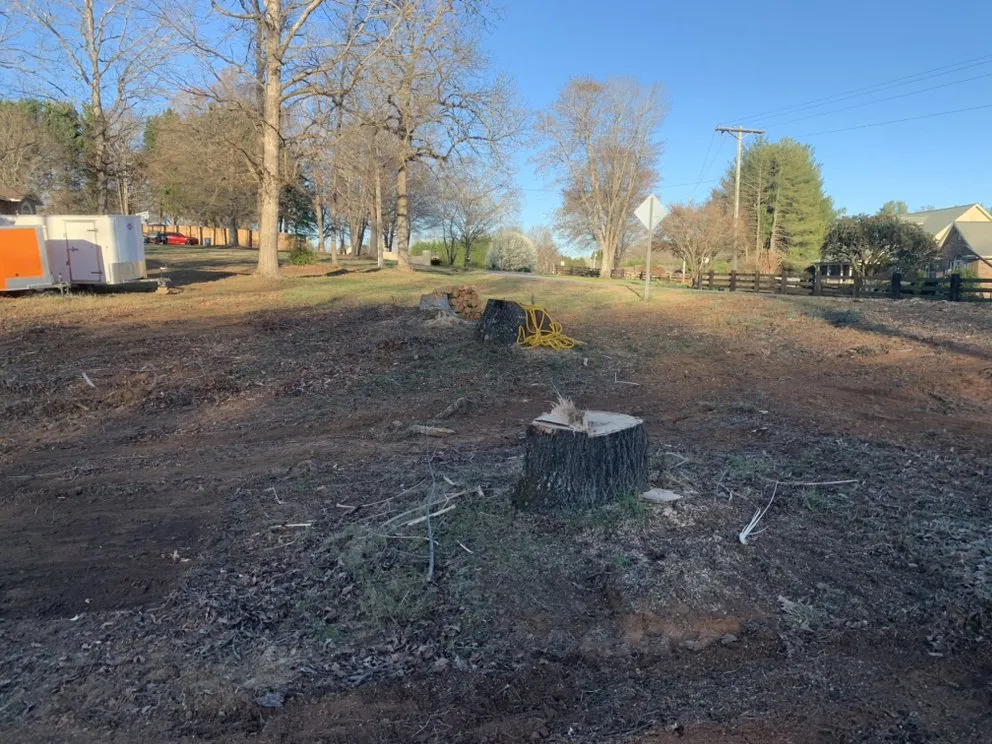 Reliable lawn care service in Hickory, NC - Thorn landscaping and tree care