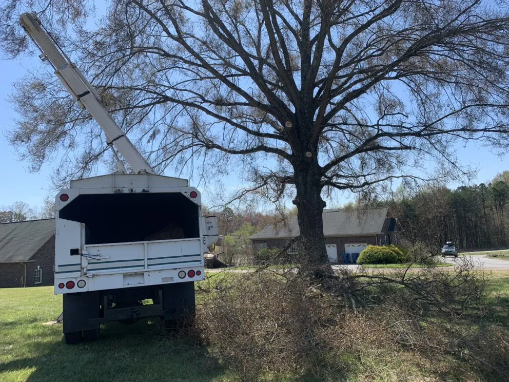 Professional residential landscaping for year-round maintenance across Hickory, NC - Thorn landscaping and tree care