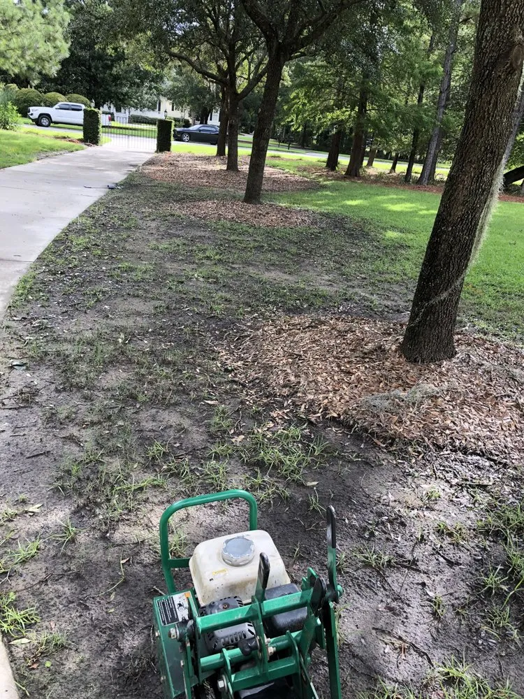 Custom landscape design in Charleston, SC by Thorn Lawn & Sod Contractors