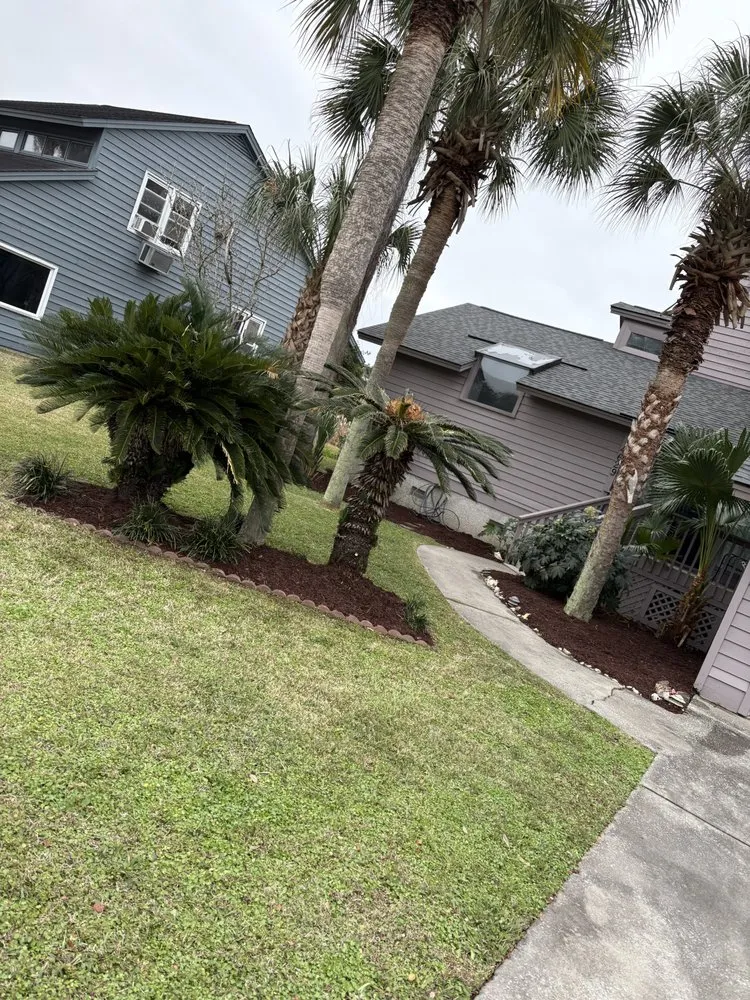 Local residential landscaping experts serving Charleston, SC - Thorn Lawn & Sod Contractors