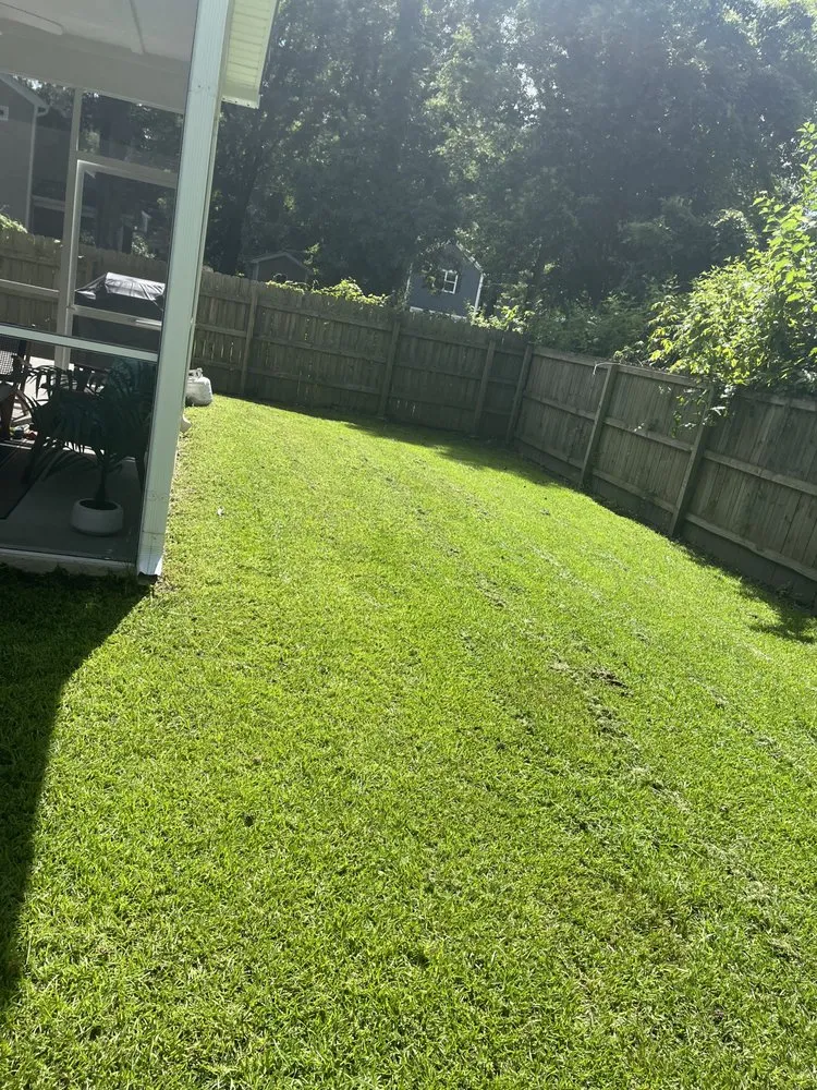 Top-rated yard cleanup service in Charleston, SC - Thorn Lawn & Sod Contractors