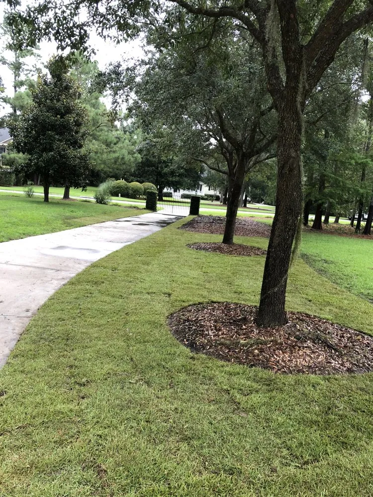 Custom residential landscaping for residential properties in Charleston, SC by Thorn Lawn & Sod Contractors