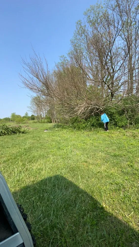 Expert garden landscaping for year-round maintenance across Anderson, IN - Thornbury Tree Lawn Care