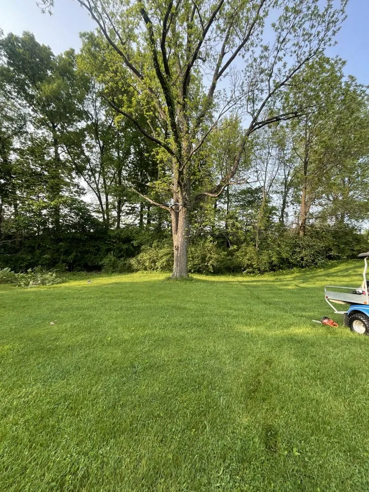 Custom yard cleanup service for residential properties in Anderson, IN by Thornbury Tree Lawn Care