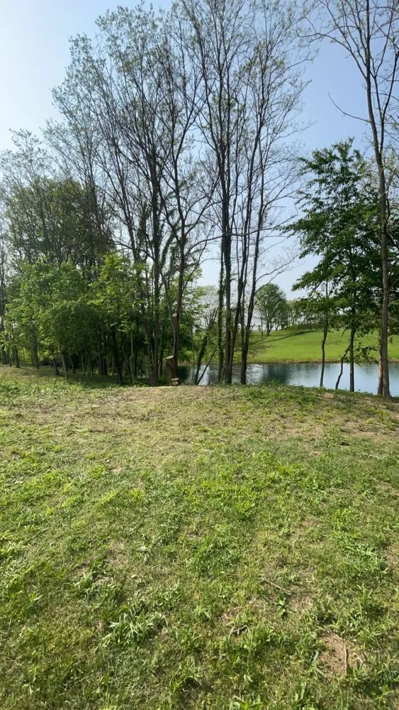 Expert outdoor landscaping experts serving Anderson, IN - Thornbury Tree Lawn Care