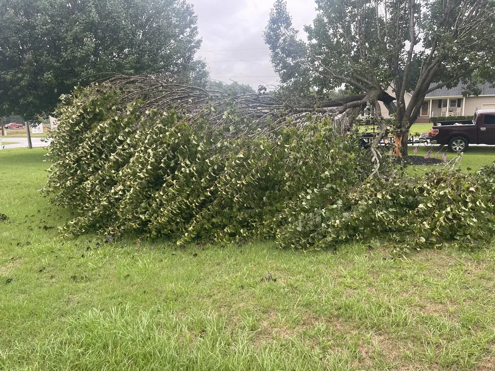 Trusted landscape installation in Lumberton, NC by Thorndyke Lawncare and Landscaping