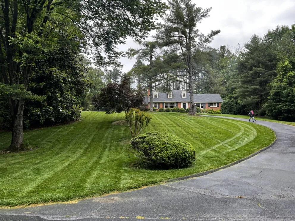 Local landscape installation experts serving Charlottesville, VA - Thorne’s Family Landscaping