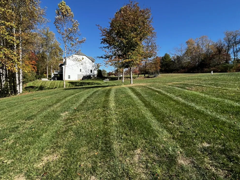 Expert yard maintenance in Charlottesville, VA by Thorne’s Family Landscaping