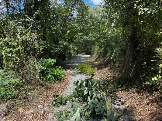 Thorne’s Family Landscaping Logo