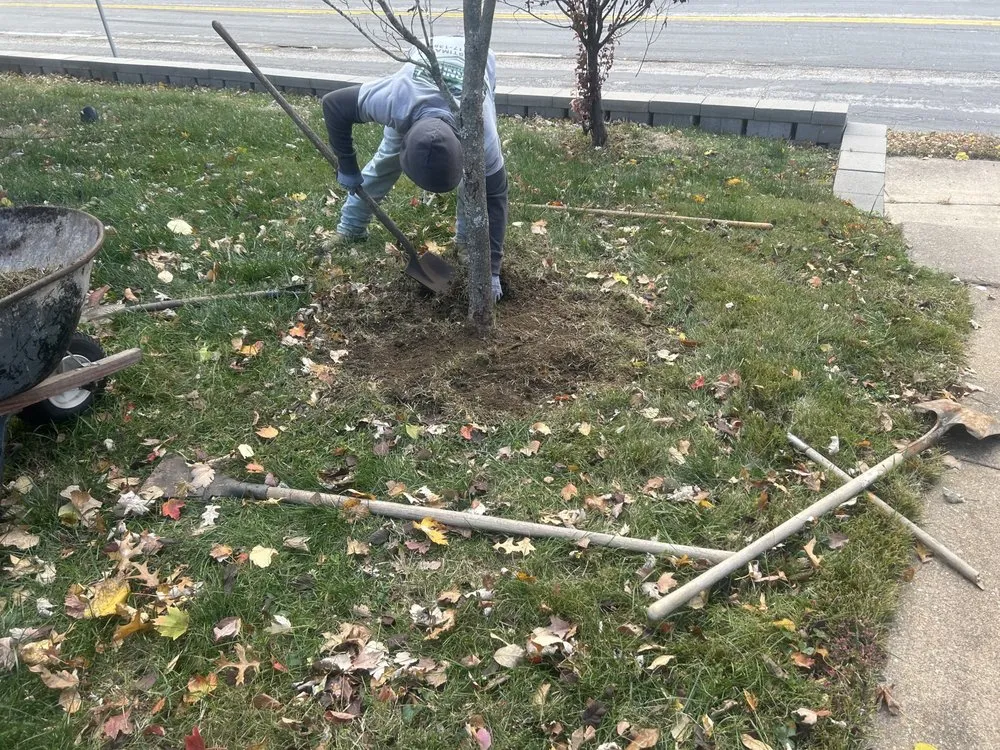 Top-rated landscaping services in St Louis, MO by Thornhill Lawncare